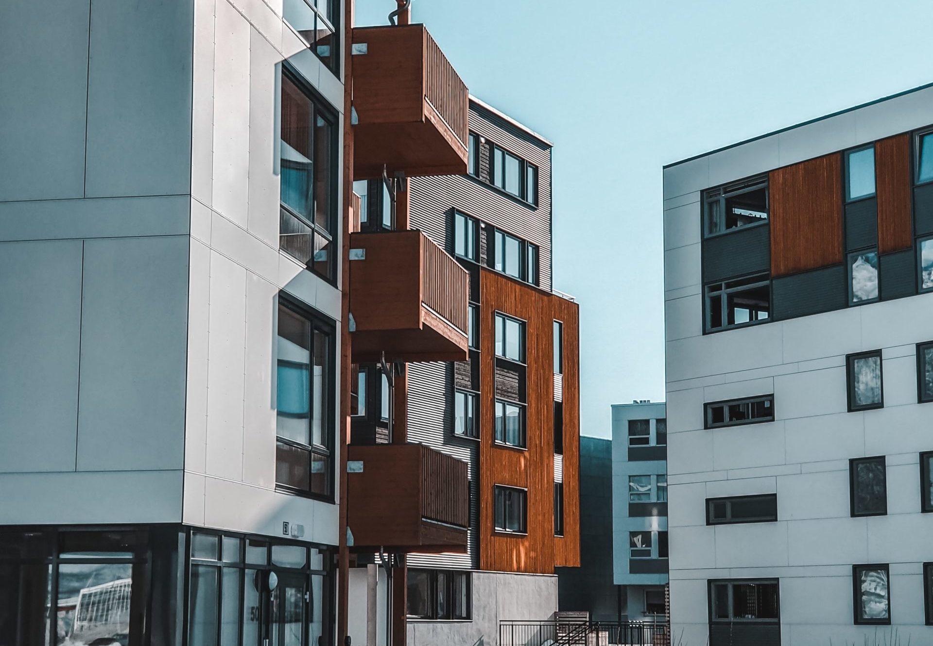 pexels-tobias-bjørkli-2119714 pexels-tobias-bjørkli-2119714