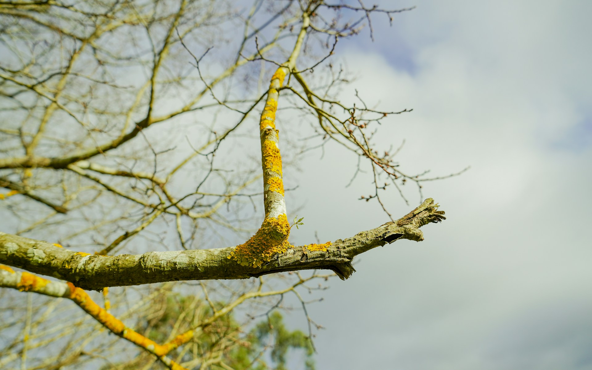 part-of-life-eRiX3u-rQlc-unsplash